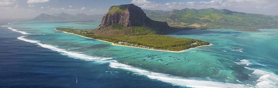 Tamarin perle de l'île Maurice 