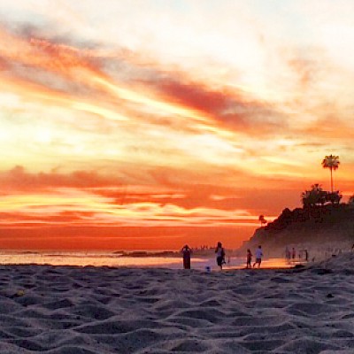 Deux frères en Trip Surf en Californie - 