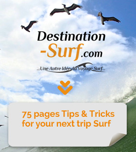 Free Guide: How to prepare Surf Trip ?