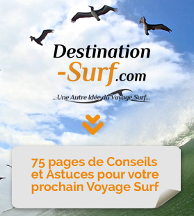 Guide Gratuit : Comment bien préparer son Trip Surf ?